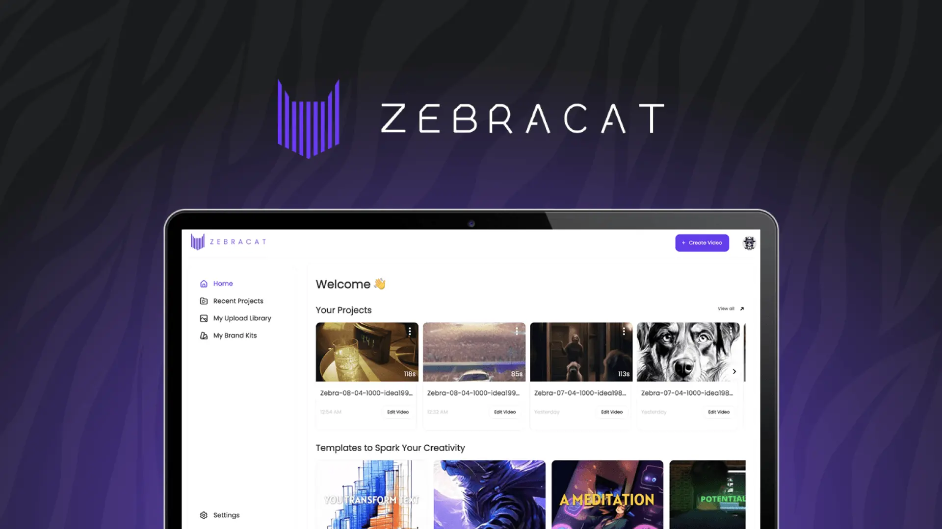Critique de Zebracat
